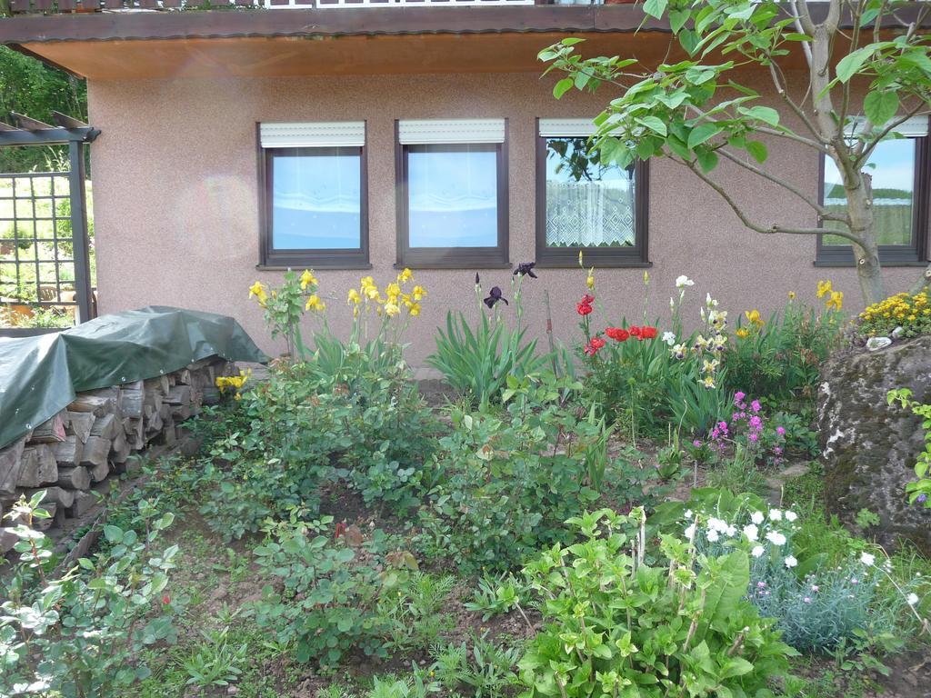 Ferienwohnung Bruni Birresborn Exterior photo